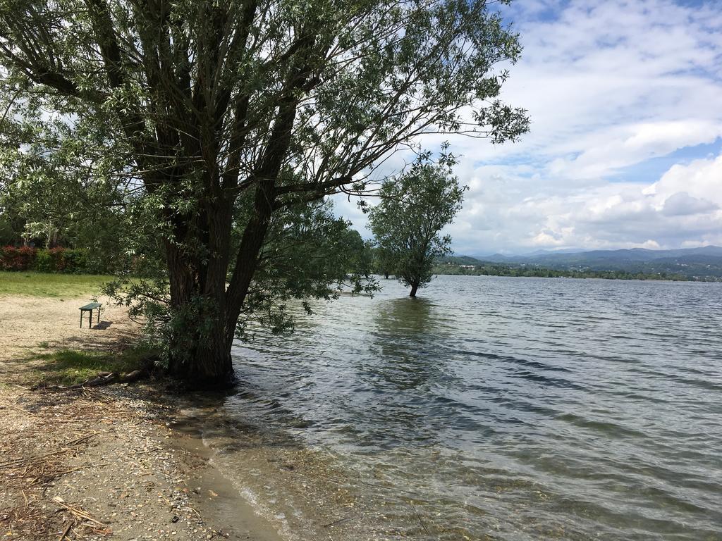Hotel Lago Maggiore Castelletto sopra Ticino Ngoại thất bức ảnh